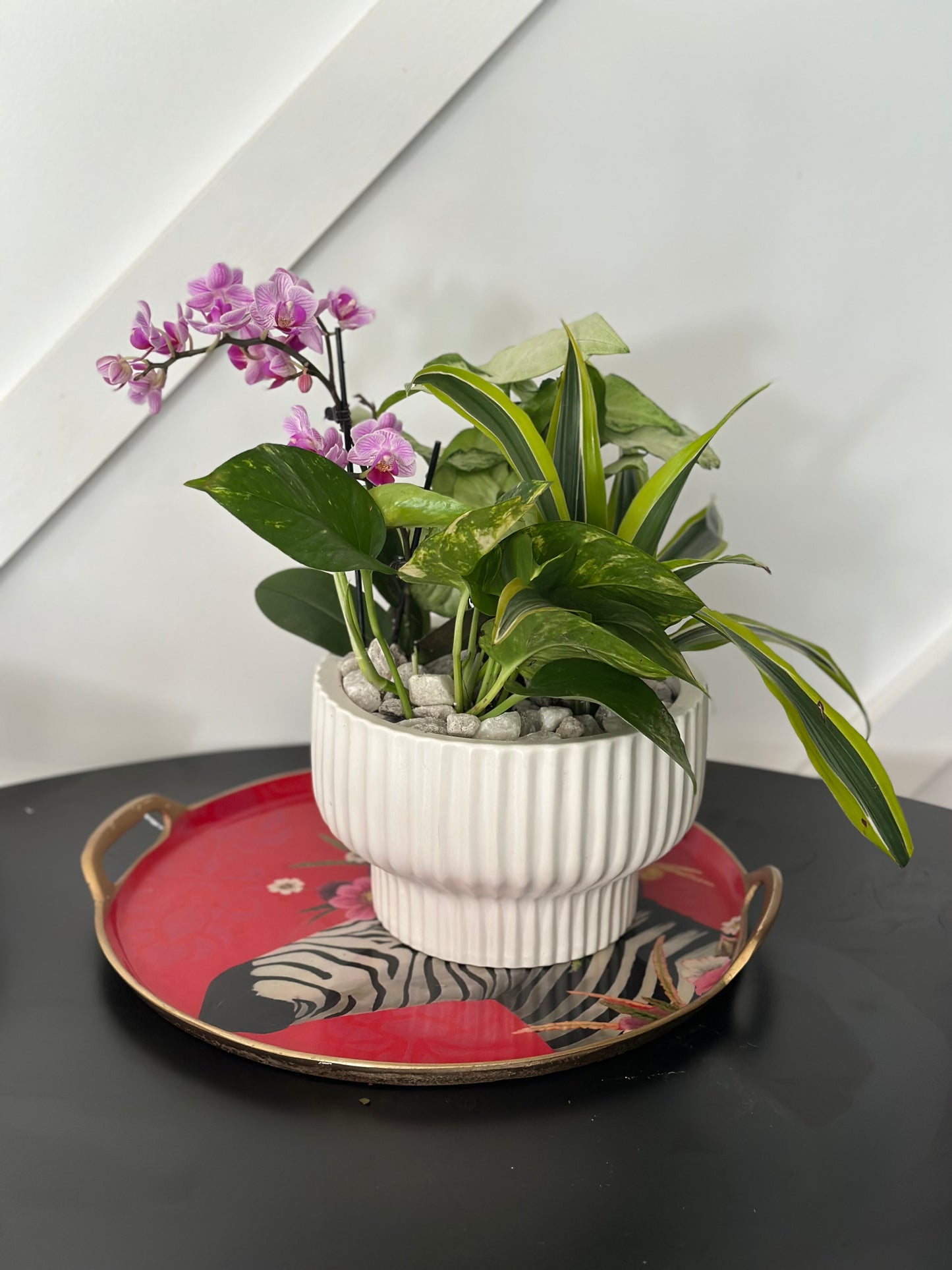 Dish garden