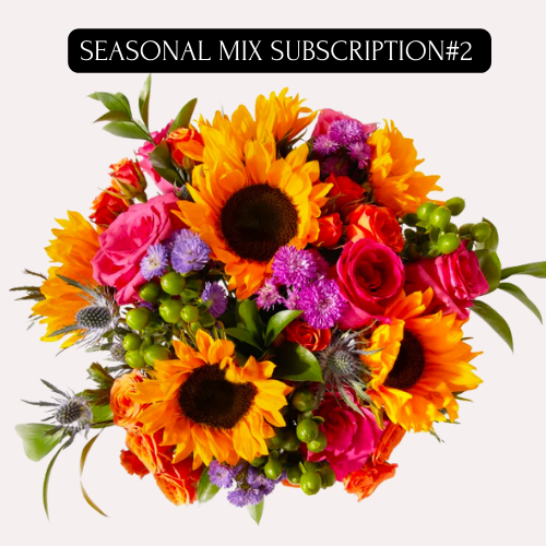 SEASONAL LARGE BOUQUET MIX SUBSCRIPTION
