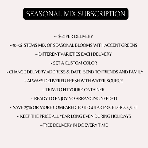 SEASONAL LARGE BOUQUET MIX SUBSCRIPTION