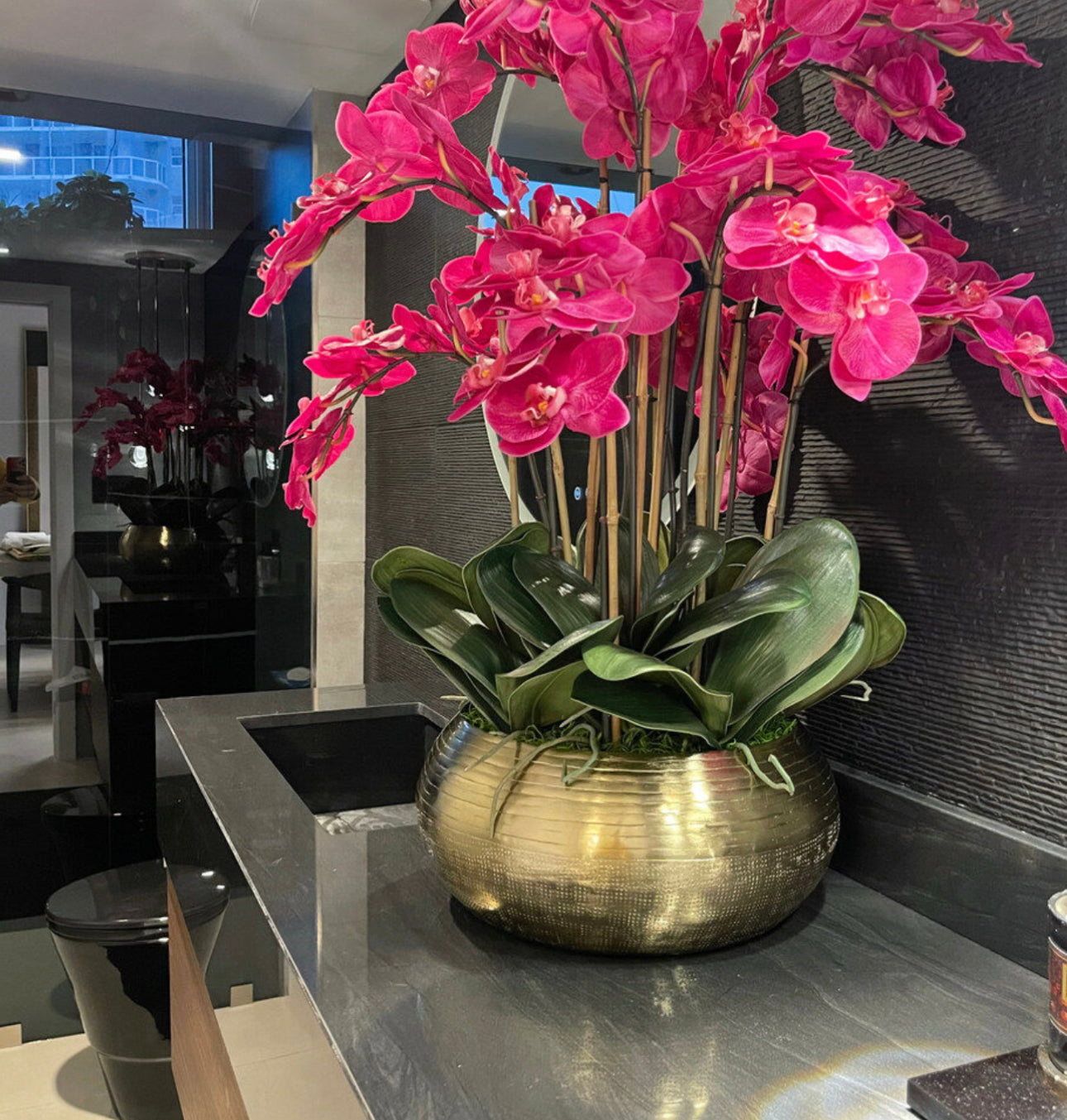 Orchid elegance