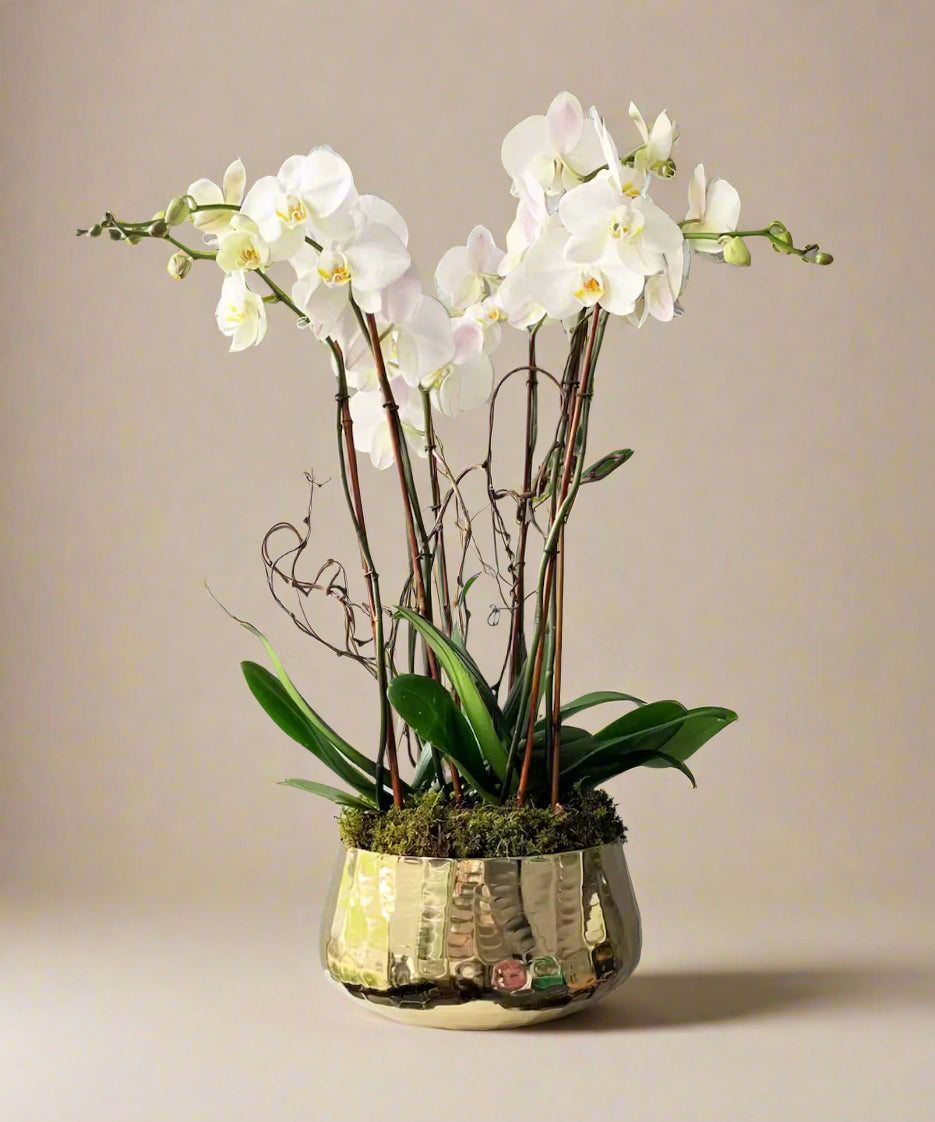 Gold orchid bowl
