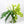 Load image into Gallery viewer, Thai queen orchid and calla silk arrangement in green
