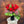 Load image into Gallery viewer, Passionate red rose
