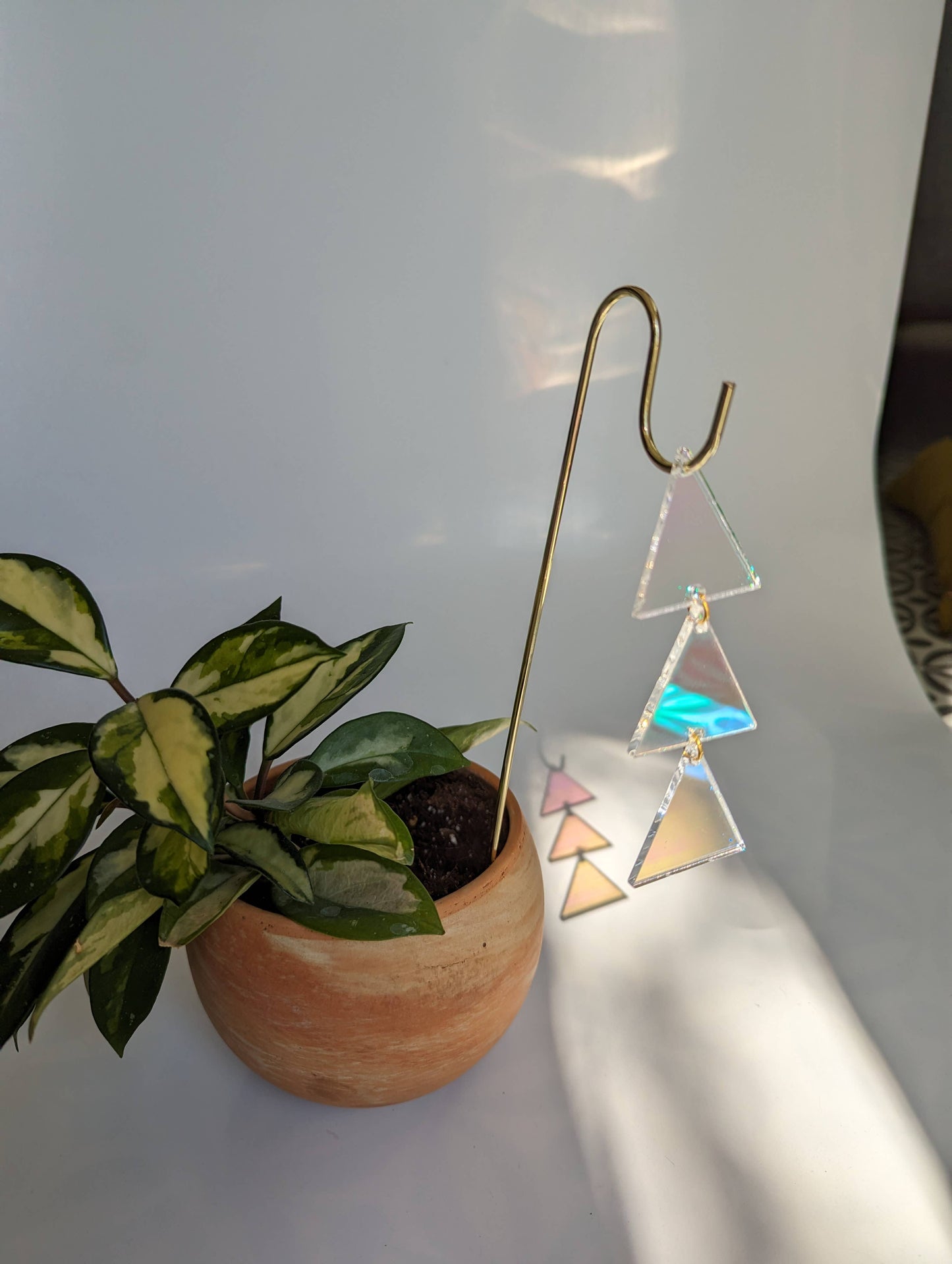 Plant Jewelry Pick: Iridescent Triangles for Houseplants