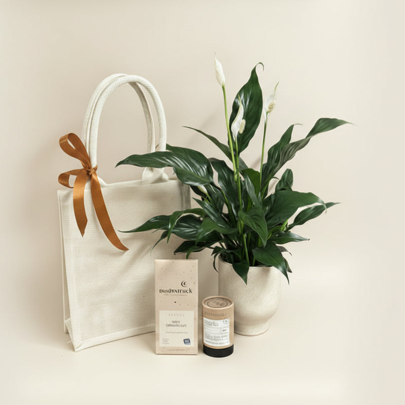 peace lily as a gift Peaceful lily and tea bundle – Roots and Blooms flower shop