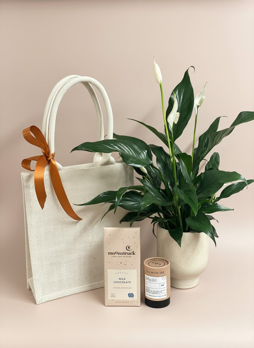 Peaceful lily and tea bundle