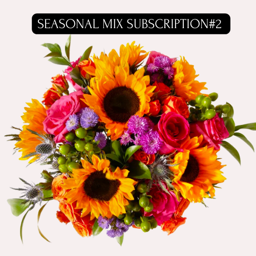 SEASONAL LARGE  BOUQUET MIX SUBSCRIPTION