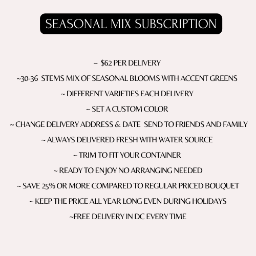 SEASONAL LARGE  BOUQUET MIX SUBSCRIPTION