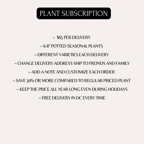 INDOOR PLANT SUBSCRIPTION
