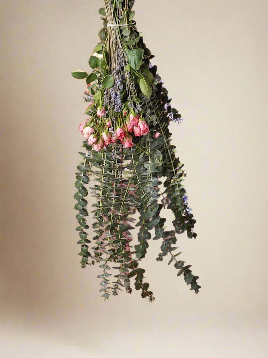 Aroma- Eucalyptus delux bundle