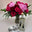 logo of flower bouquet delivery funeral flower delivery washington dc
 – Roots and Blooms flower shop