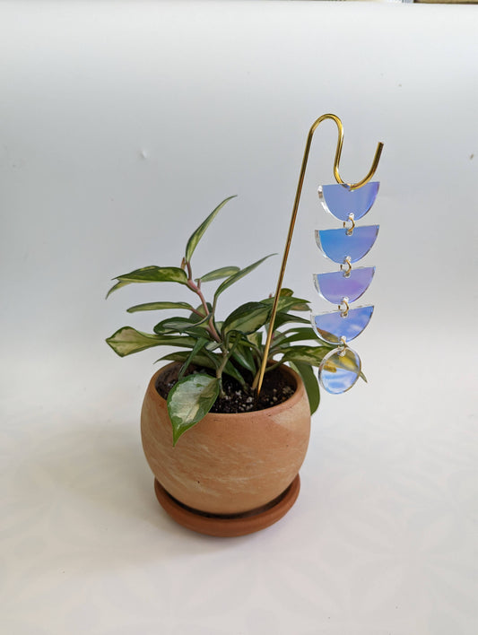 Plant Jewelry Pick: Iridescent Sunrise for Houseplants