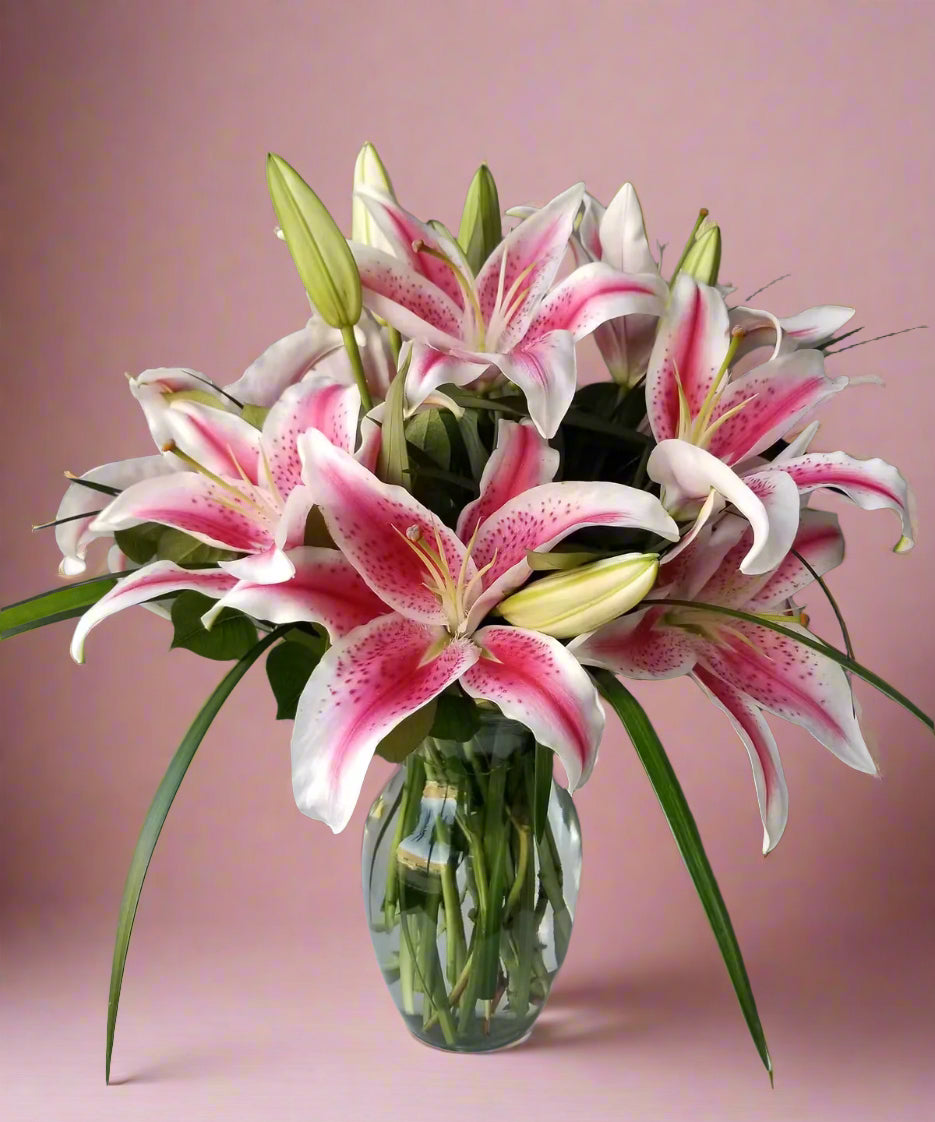 Endless blooming lilies