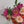 Load and play video in Gallery viewer, Popping Peonies bouquet
