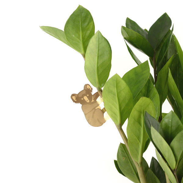 Plant Animal Charm Decoration - Koala