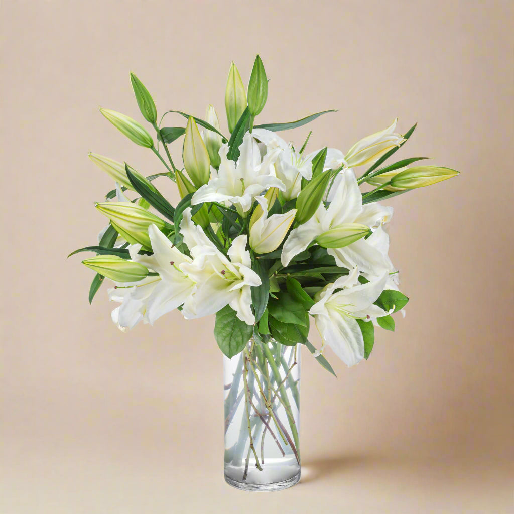 Lily elegance