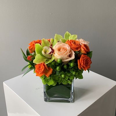 Colorful citrus