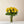 Load image into Gallery viewer, Cheerful yellow bundle
