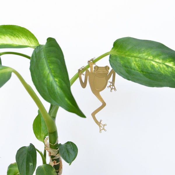 Plant Animal Charm Decoration - Tree frog