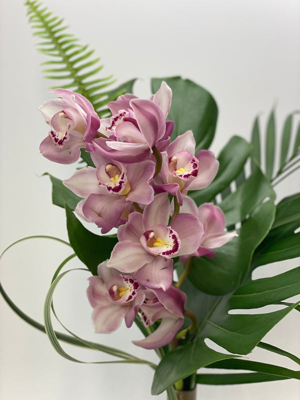 Orchid elegance