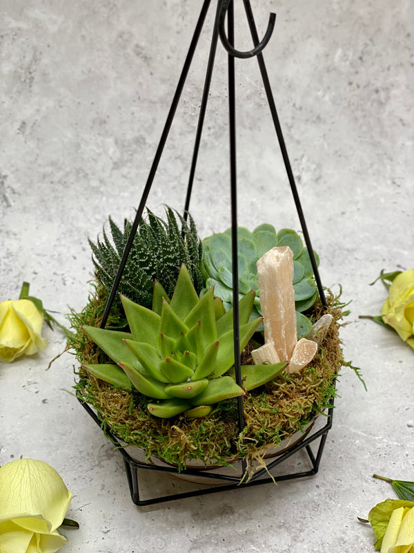 Succulent and Crystal hanging planter