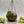 Load image into Gallery viewer, Succulent and Crystal hanging planter
