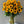Load image into Gallery viewer, Fall sun bouquet
