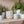 Load image into Gallery viewer, Plant Icon pot
