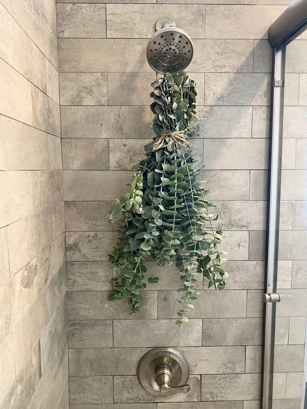 Aroma - Eucalyptus Shower bundle